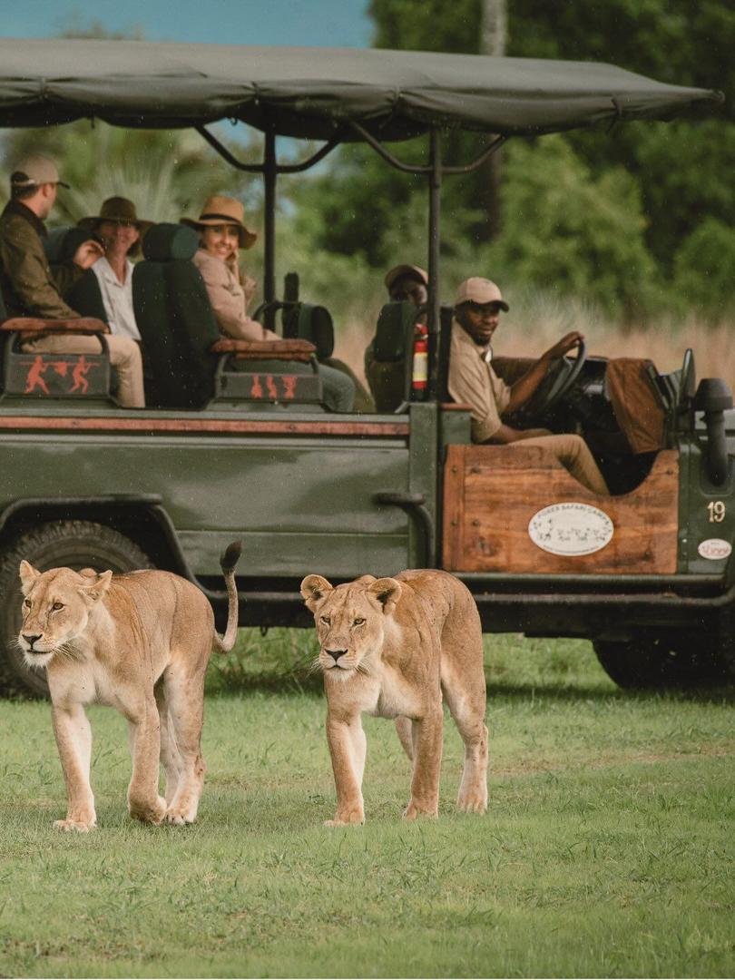 Ultimate Safari & Beach Fusion