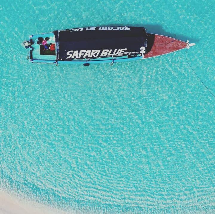 Safari Blue Luxury Adventure